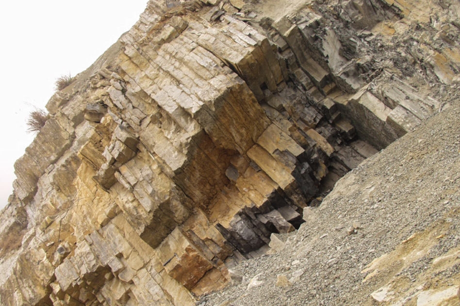 Microbe's Innovation May Have Started Largest Extinction Event on Earth